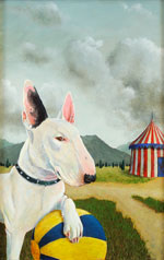Bull Terrier, Dog Portraits, 2014 _ Timothy Vermeulen