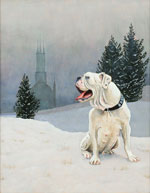 Bulldog in Winter, Dog Portraits, 2014 _ Timothy Vermeulen